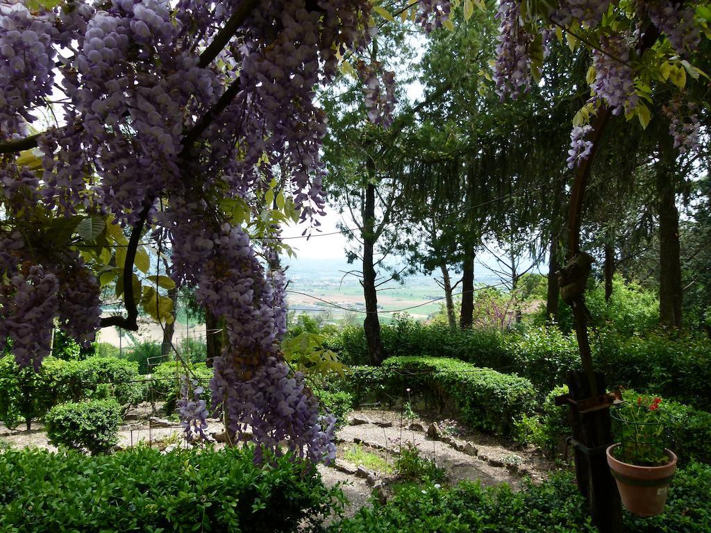Casa Fiorita Bed & Breakfast Sant'Enea ภายนอก รูปภาพ