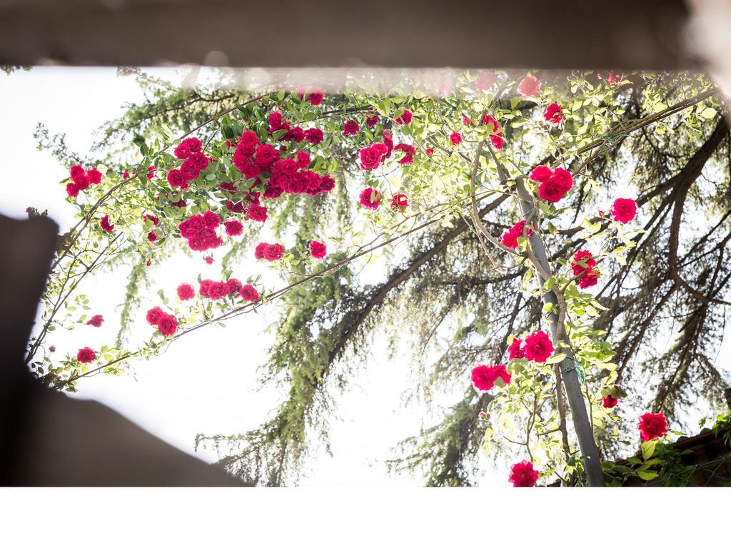Casa Fiorita Bed & Breakfast Sant'Enea ภายนอก รูปภาพ